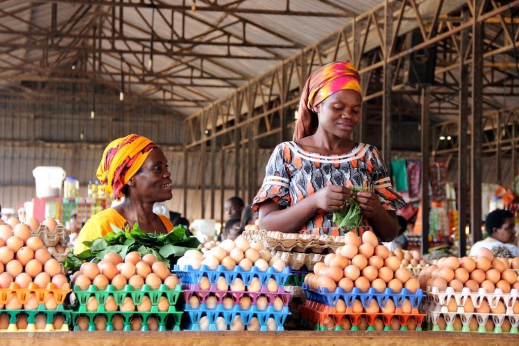 The Power of Digital Financial Inclusion Consultancies