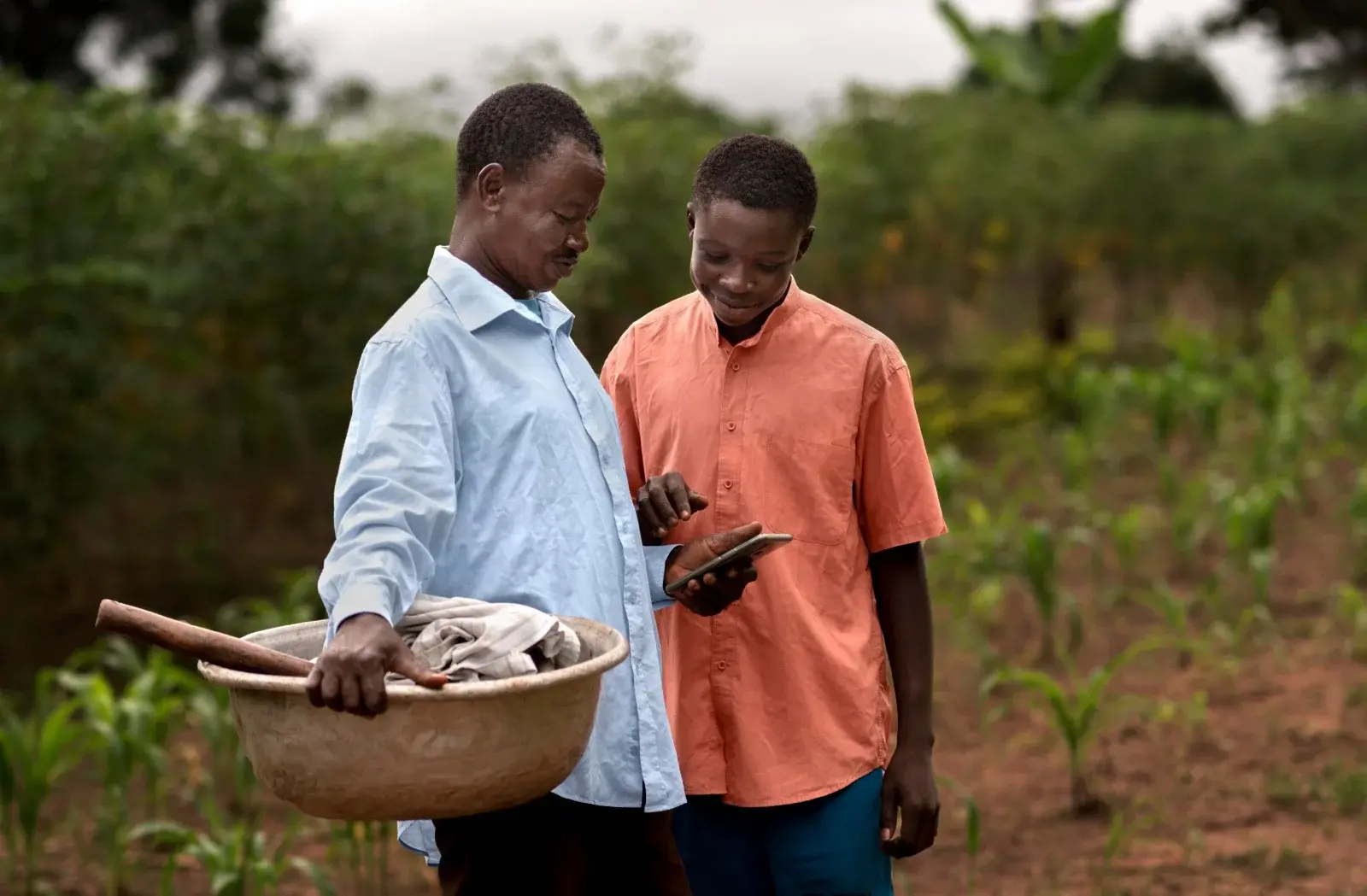 The Quality of Digital Financial Inclusion Consultancies